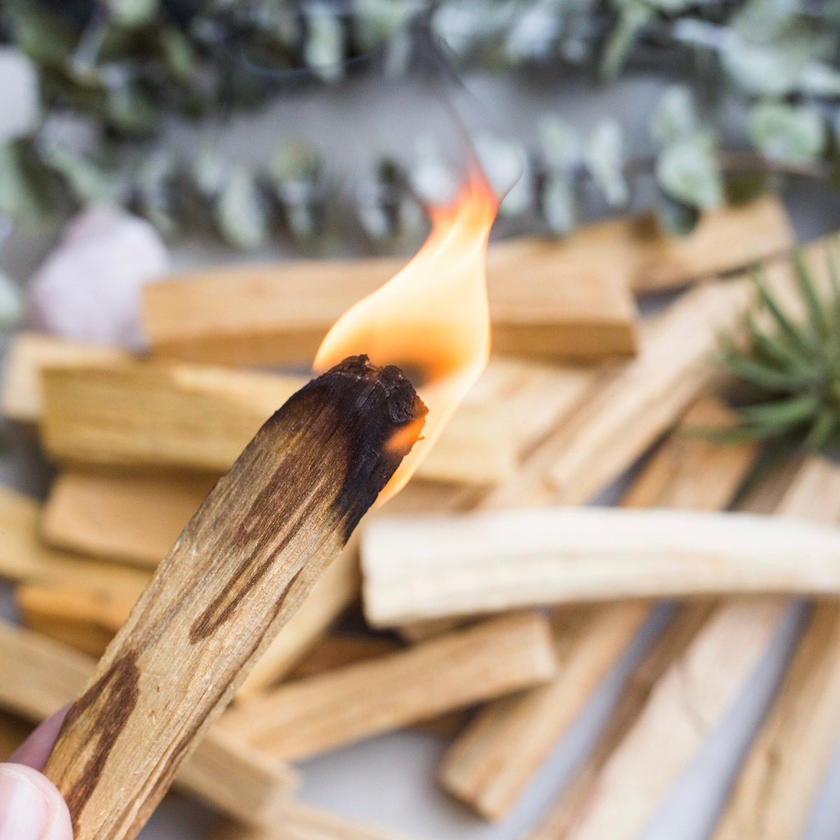 Palo Santo Stick - Crystal Irie