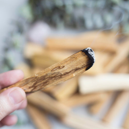 Palo Santo Stick - Crystal Irie